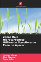 Zonas Raiz Hidrocarboneto Utilizando Mycoflora de Cana de Açúcar 6205797135 Book Cover