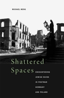 Shattered Spaces: Encountering Jewish Ruins in Postwar Germany and Poland 0674053036 Book Cover