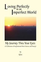 Loving Perfectly in an Imperfect World - My Journey Thru Your Eyes 1483621529 Book Cover