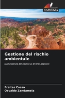 Gestione del rischio ambientale 6131547084 Book Cover