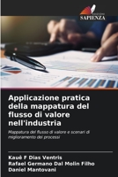 Applicazione pratica della mappatura del flusso di valore nell'industria: Mappatura del flusso di valore e scenari di miglioramento dei processi 6206066878 Book Cover