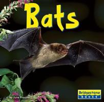 Bats 0736854150 Book Cover