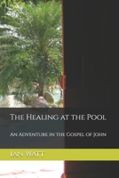The Healing at the Pool: An Adventure in the Gospel of John B0GNYYDN6K Book Cover