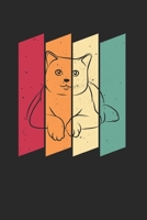 Katze K�tzchen Notizbuch: Katze K�tzchen Notizbuch f�r Liebhaber / Notizheft / Notizblock A5 (6x9in) Dotted Notebook / Punkteraster / 120 gepunktete Seiten 1673797296 Book Cover