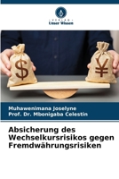 Absicherung des Wechselkursrisikos gegen Fremdwährungsrisiken (German Edition) 6208671671 Book Cover