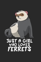 Frettchen Notizbuch: Frettchen Notizbuch f�r Liebhaber / Notizheft / Notizblock A5 (6x9in) Dotted Notebook / Punkteraster / 120 gepunktete Seiten 1671317076 Book Cover