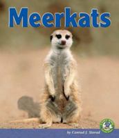 Meerkats (Early Bird Nature Books) 0822564661 Book Cover