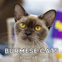 Burmese Cats: 2021 Wall Calendar, Cute Gift Idea For Burmese Cat Lovers Or Owners Men And Women B08QWYBVB9 Book Cover