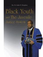 Black Youth and the Juvenile Justice System 1481735705 Book Cover
