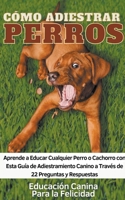 Cómo Adiestrar Perros Aprende a Educar Cualquier Perro o Cachorro con Esta Guía de Adiestramiento Canino a Través de 22 Preguntas y Respuestas B0CL231T3N Book Cover