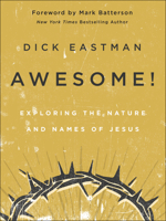 Awesome!: Exploring the Nature and Names of Jesus 0800761952 Book Cover