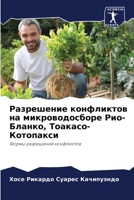 Разрешение конфликтов н& 6205852721 Book Cover