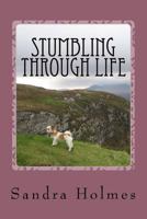 Stumbling Through Life: A personal account of life in one of the harsh boarding schools in the UK 1502877198 Book Cover