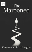 The Marooned B0FTSXVJ21 Book Cover