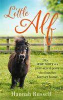 Little Alf: The true story of a pint-sized pony who found his forever home 0751568910 Book Cover