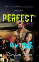 The Perfect Love: My Part: Double Book 1540761568 Book Cover