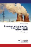 Upravlenie toplivno-energeticheskim kompleksom: Monografiya 3847300334 Book Cover