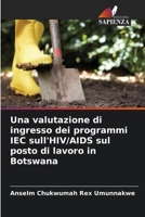 Una valutazione di ingresso dei programmi IEC sull'HIV/AIDS sul posto di lavoro in Botswana 6206366685 Book Cover