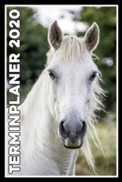 Terminplaner 2020: Jahresplaner von September 2019 bis Dezember 2020 mit Pferd - Planer mit 174 Seiten in wei� im Format A5 mit gl�nzendem Soft Cover. 170402823X Book Cover