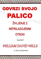 Odvrzi svojo palico - zivljenje z neprilagojenimi otroki 0359874207 Book Cover