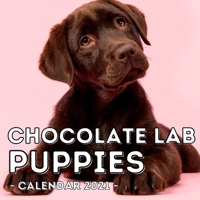 Chocolate Lab Puppies Calendar 2021: 16-Month Calendar, Cute Gift Idea For Labrador Retriever Lovers Men & Women B095GCZNWZ Book Cover