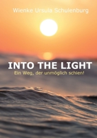Into The Light: Ins Ewige Licht 374489679X Book Cover