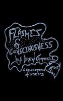 Flashes of Consciousness 9357445447 Book Cover