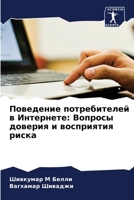Поведение потребителей в Интернете: Вопросы доверия и восприятия риска 6206079945 Book Cover