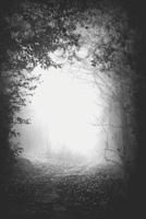 Légendes urbaines, mythes, rumeurs et racontars 1973378728 Book Cover