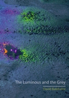 Luminous and the Grey 1780232802 Book Cover