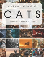 Big Beautiful Book of Cats: Cat Coffee Table Picture Book | Cat Breed Photography Images | Feline Home Decor Accent Piece B0H1WBNWMX Book Cover