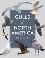 Gulls of North America 0764362941 Book Cover