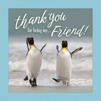 Thank You for Being My Friend! (Fox Chapel Publishing) A Beautiful Gift Book for Your BFF to Celebrate Your Friendship - Meaningful Quotes and Fun ... with Sprayed Edges (Thinking of You) 1497105668 Book Cover