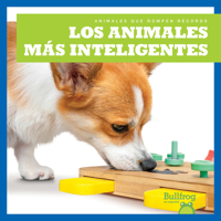 Los Animales Más Inteligentes (Smartest Animals) B0CVMTTGV6 Book Cover