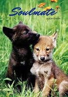 Soulmate 1456868969 Book Cover