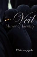 Veil: Mirror of Identity 0745643523 Book Cover