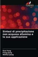 Sintesi di precipitazione non acquosa allumina e la sua applicazione 6203612693 Book Cover