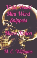 Vivid Visual Mini Word Snippets B0C9SDHKM2 Book Cover