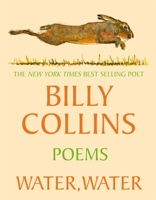 Picador Water, Water. 1035068702 Book Cover
