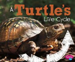A Turtle's Life Cycle 1515770605 Book Cover