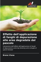 Effetto dell'applicazione di fanghi di depurazione alle aree degradate dal pascolo 620635198X Book Cover