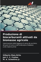 Produzione di biocarburanti attivati da biomasse agricole (Italian Edition) 6206591425 Book Cover