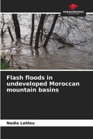 Flash floods in undeveloped Moroccan mountain basins 6205879468 Book Cover