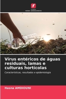 Vírus entéricos de águas residuais, lamas e culturas hortícolas (Portuguese Edition) 6207924436 Book Cover