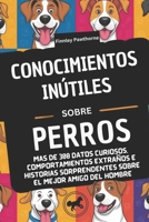 CONOCIMIENTOS INÚTILES SOBRE PERROS: Más de 300 datos curiosos, comportamientos extraños e historias sorprendentes sobre el mejor amigo del hombre (Spanish Edition) B0F1K6JSBH Book Cover