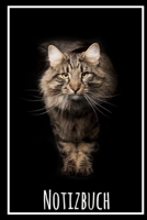 Notizbuch: Planer mit Katze f�r deine Notizen. 120 Seiten mit Linien und gl�nzendem Softcover 1702574172 Book Cover