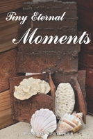 Tiny Eternal Moments B09NRRFMLG Book Cover