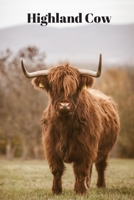 Highland Cow: Beautiful ancient breed of cow from Scotland. Journal/Notebook/Diary to write in, draw in or doodle in. Makes a nice gift for kids and farm animal lovers 1089307683 Book Cover