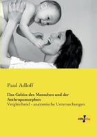 Das Gebiss Des Menschen Und Der Anthropomorphen 3957389607 Book Cover