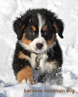 Bernese Mountain Dog: A Gift Journal for People who Love Dogs: Bernese Mountain Dog Puppy Edition 1494451824 Book Cover